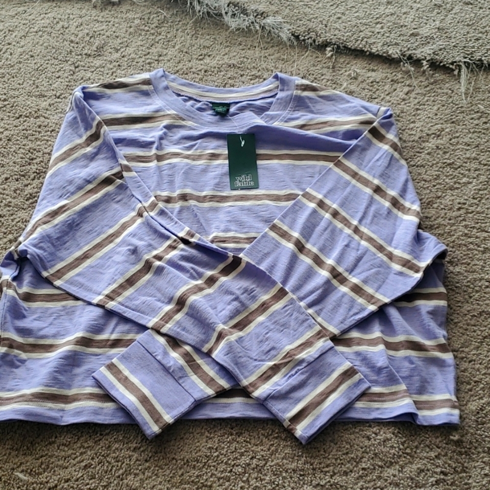 Brand New Crop Tee